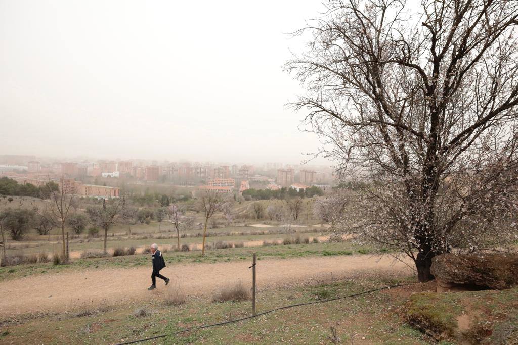 Fotos: La calima cubre Valladolid de un fino manto naranja (2/2)