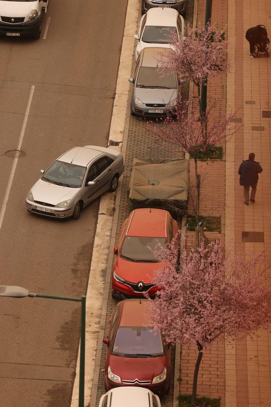 Fotos: La calima cubre Valladolid de un fino manto naranja (2/2)