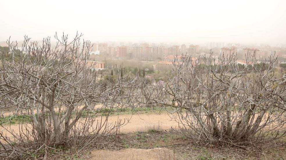 La calima cubre Valladolid de un fino manto naranja (2/2)