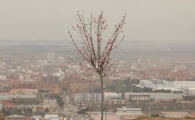 Valladolid capital, desde el Cerro de San Cristóbal a última hora de la mañana del miércoles. 