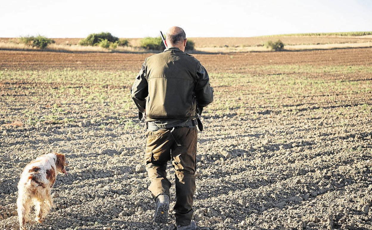 Un cazador con su perro por el campo.