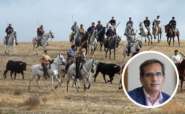Encierro por el campo en la localidad de Portillo, a la derecha, el delegado territorial Augusto Cobos. 
