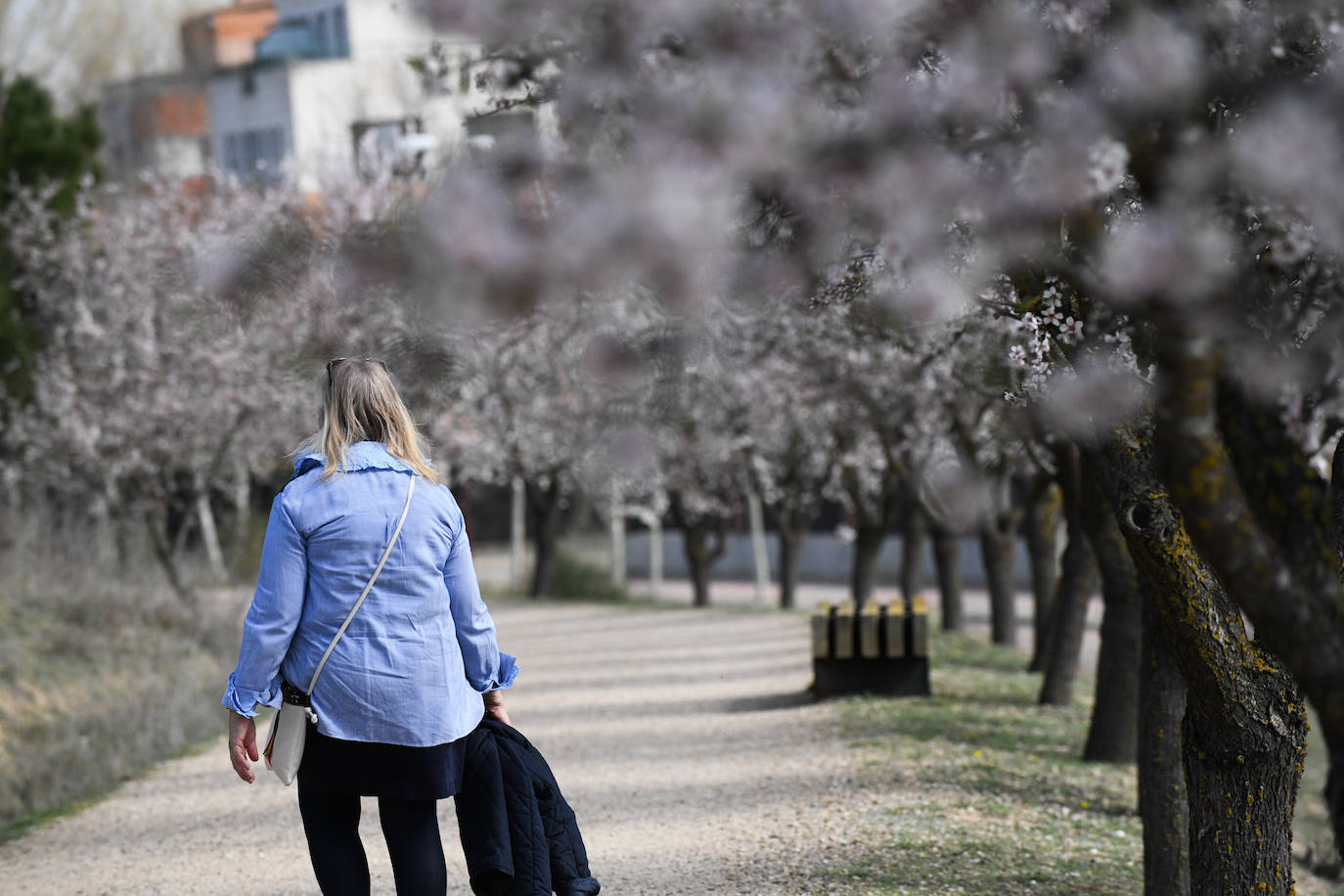 Fotos: La primavera se estrena en Valladolid con sol y temperaturas agradables
