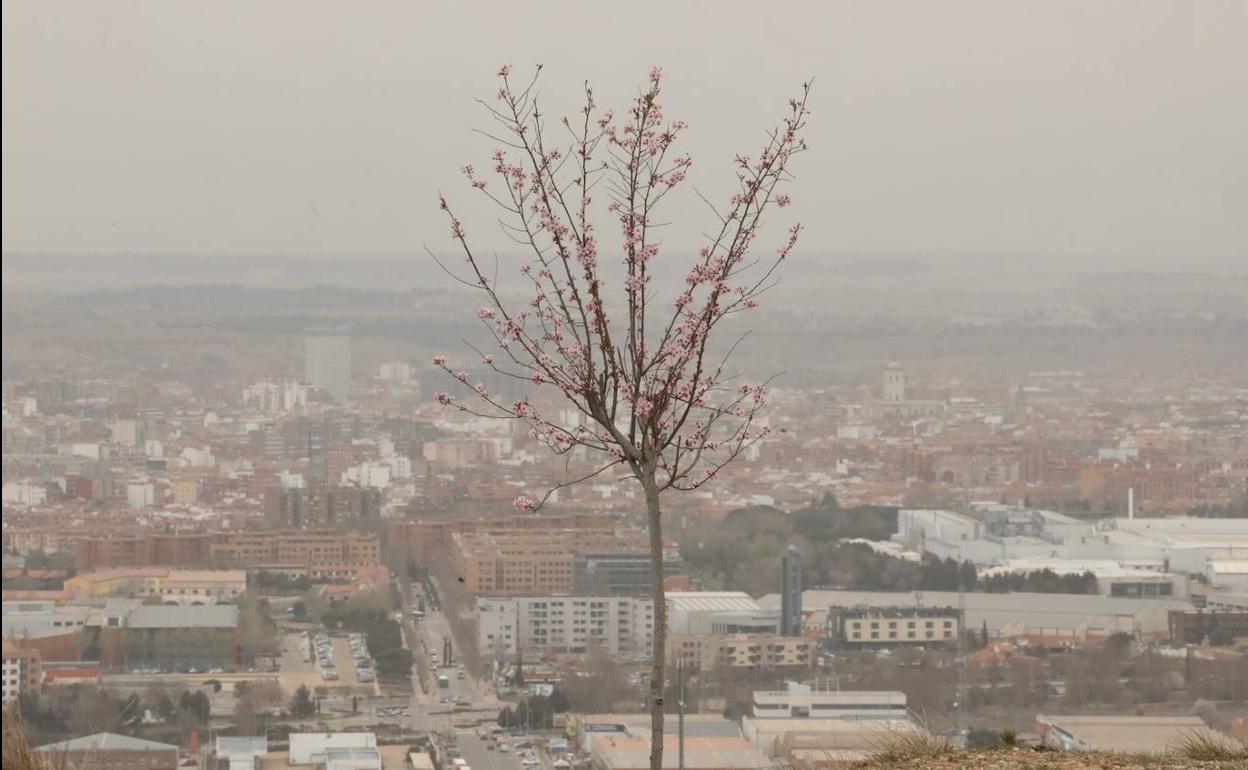 Calima en Valladolid, la semana pasada. 