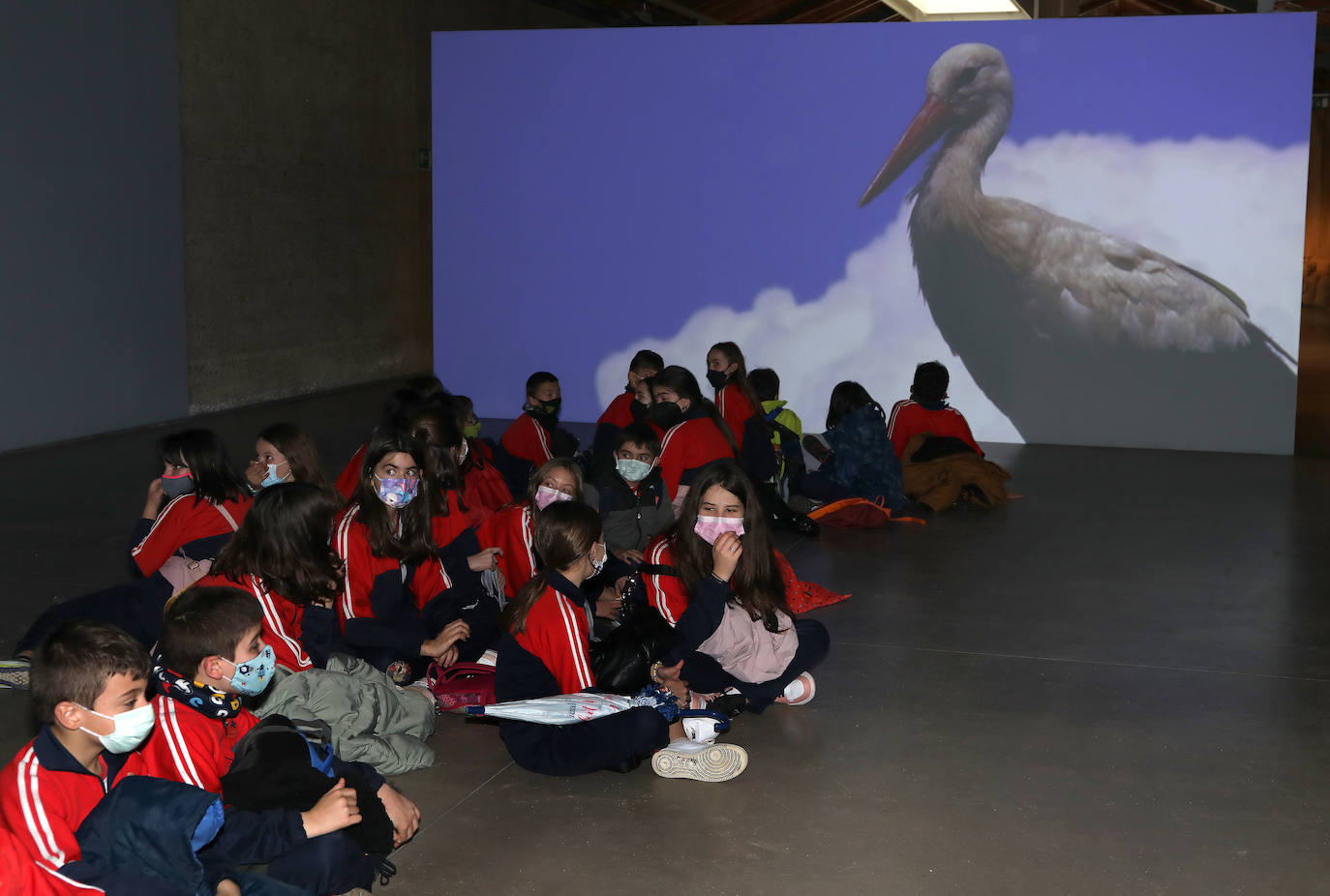Más de 500 escolares celebran el Día Mundial del Agua con una visita al museo de la Dársena