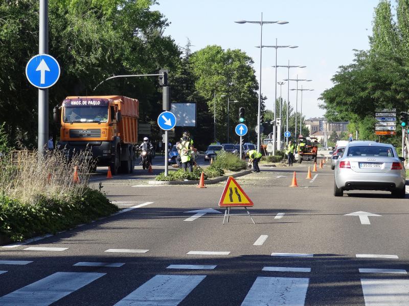 Trabajos anteriores de poda en la Avenida de Salamanca. 