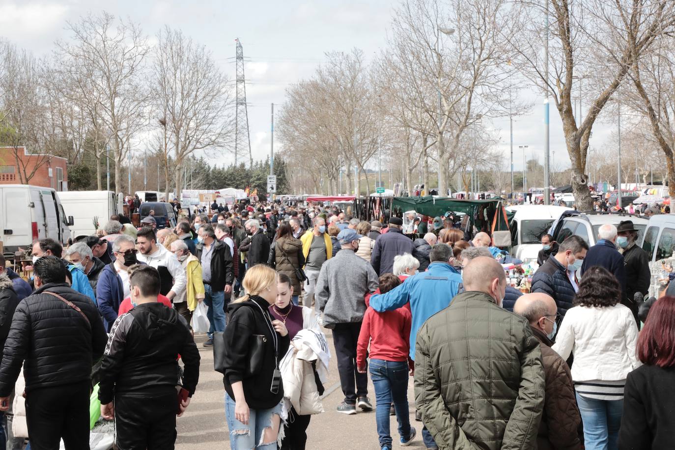 Fotos: Vuelve el rastro de los domingos a Valladolid