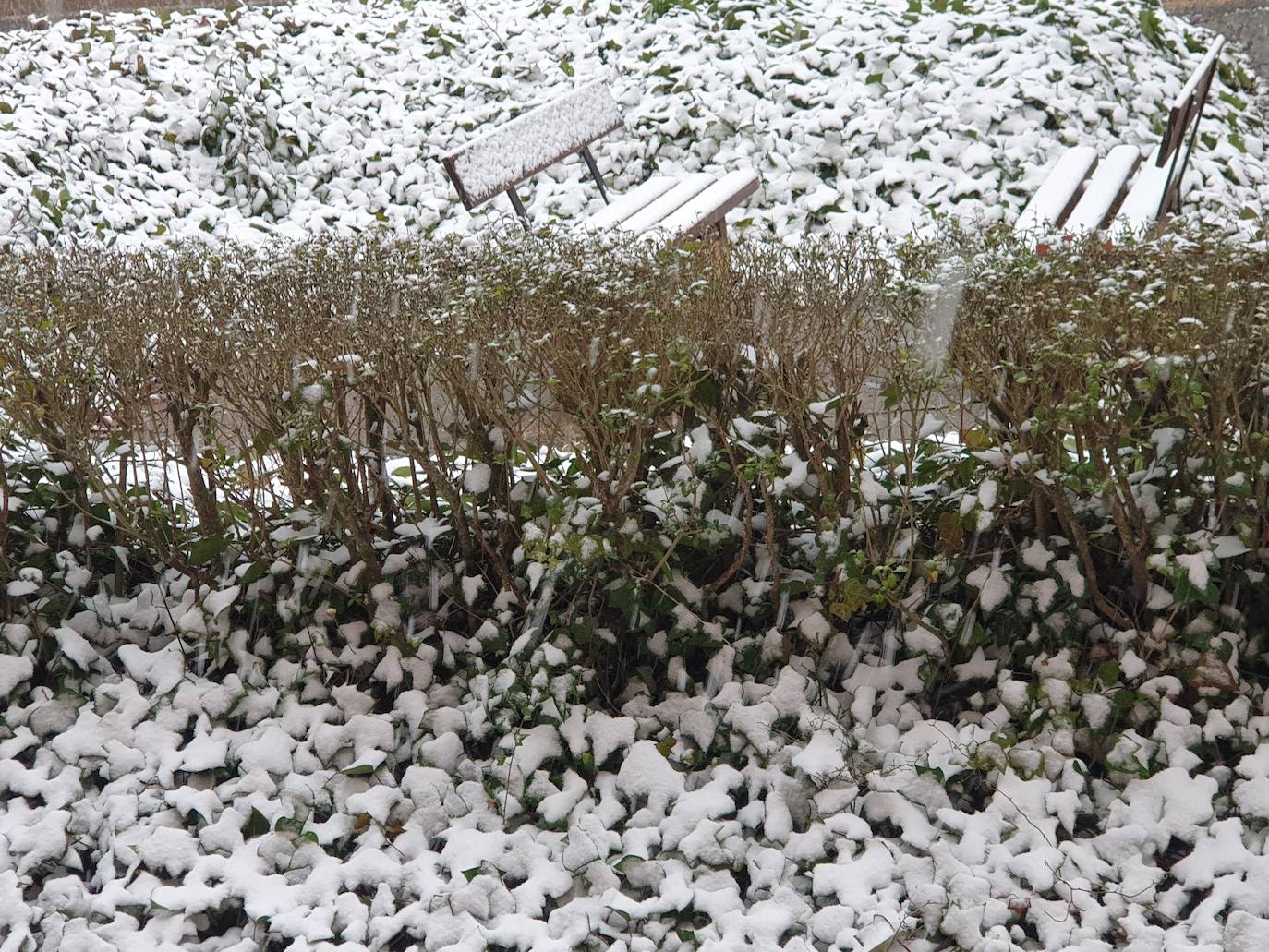Fotos: La nieve cubre la Montaña Palentina en abril