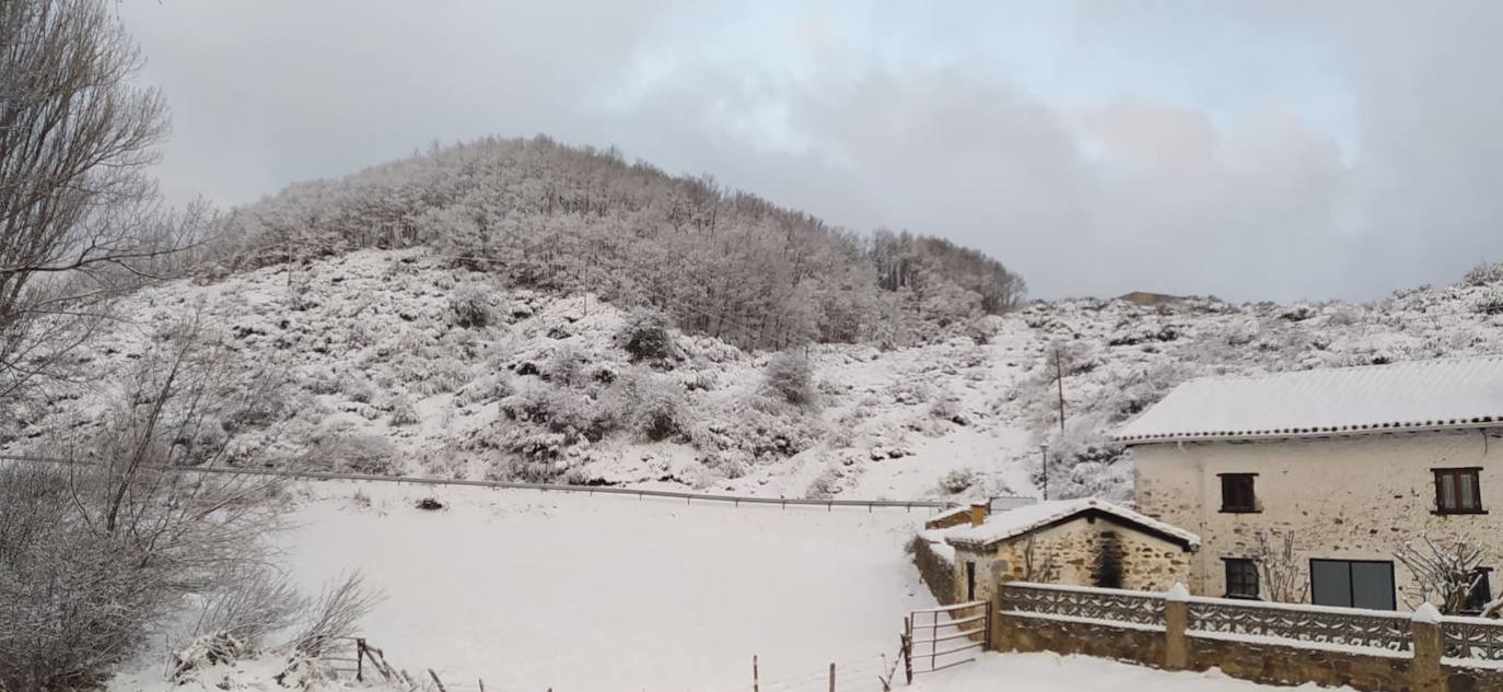 Fotos: La nieve cubre la Montaña Palentina en abril
