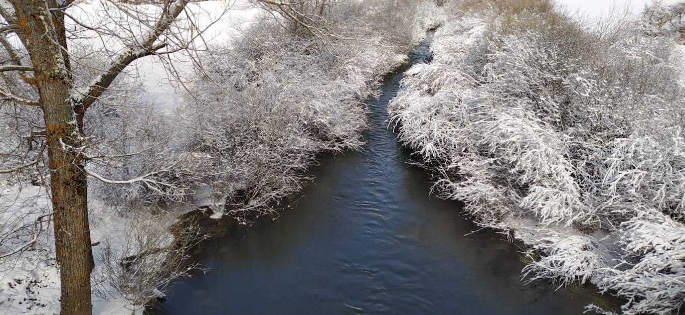 Fotos: La nieve cubre la Montaña Palentina en abril