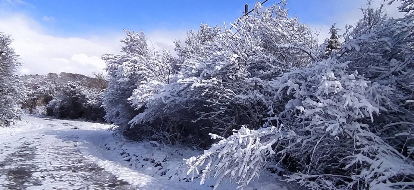 Fotos: La nieve cubre la Montaña Palentina en abril