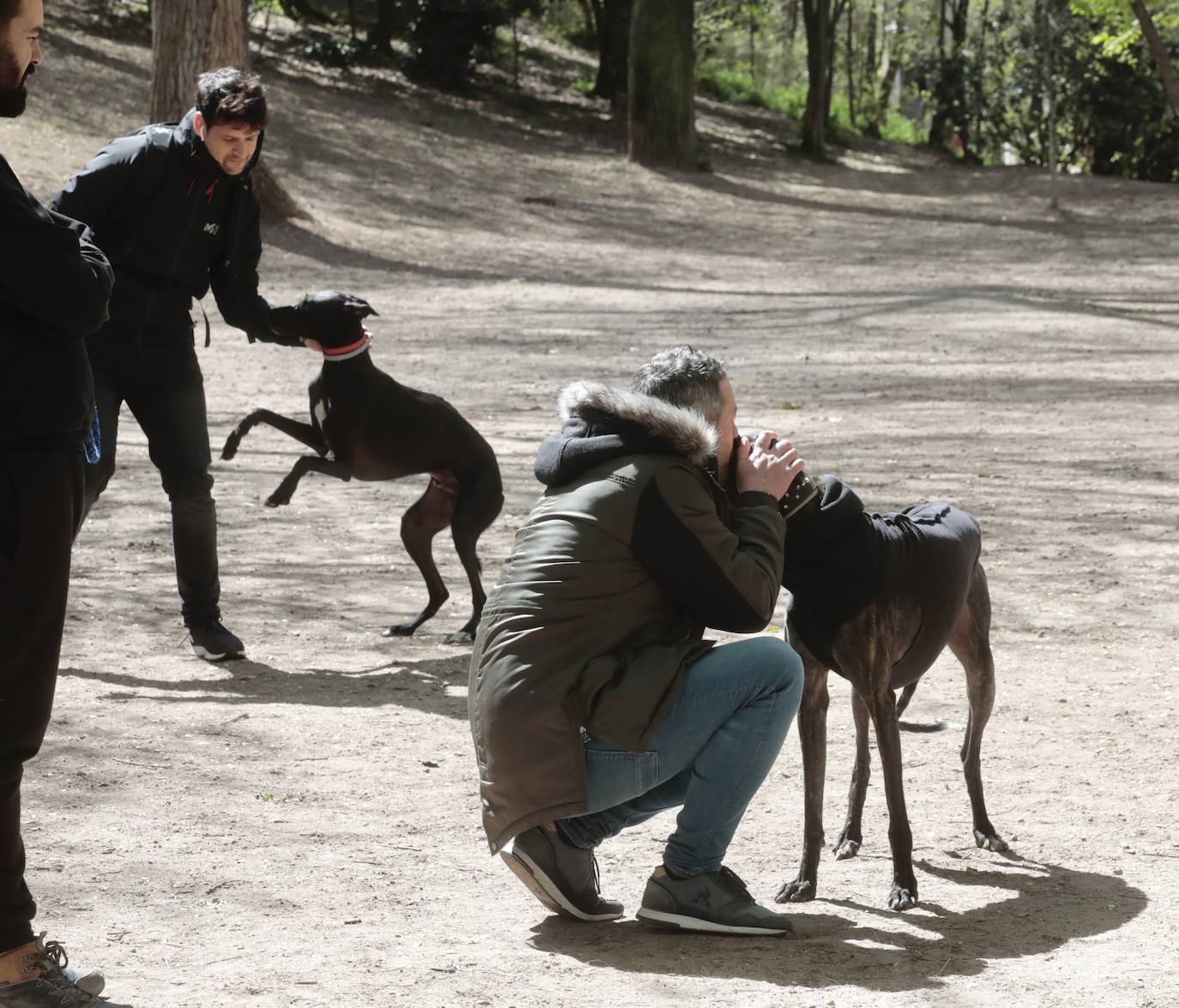 Fotos: Parque canino de las Moreras en Valladolid