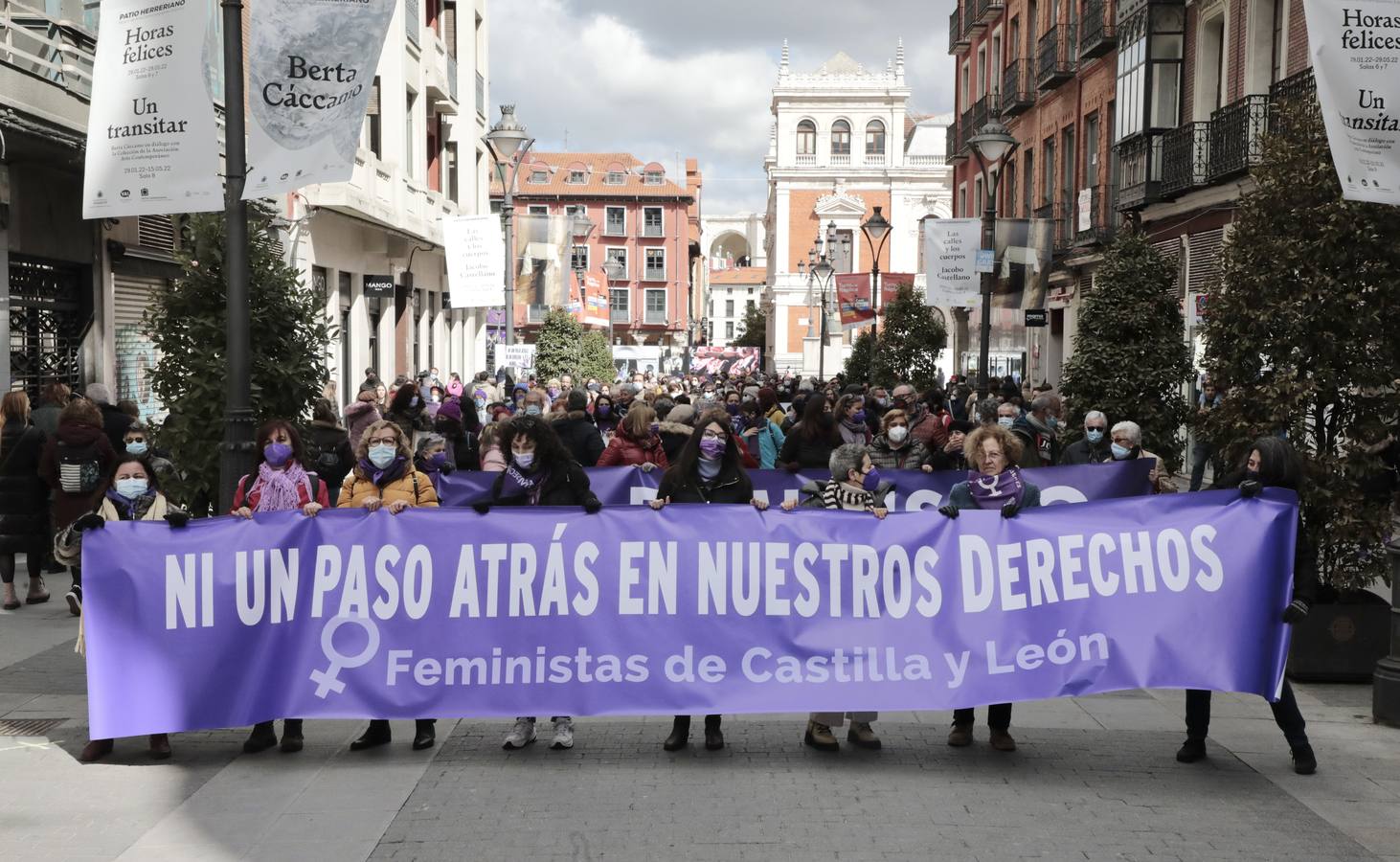 Fotos: Manifestación feminista en Valladolid