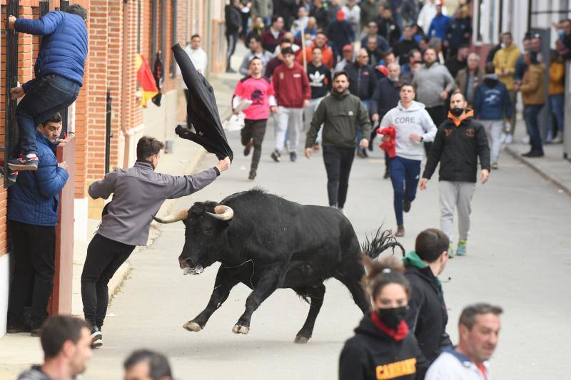 Un aficionado cita al toro con una chaqueta en una de las calles del encierro de Siete Iglesias. / 