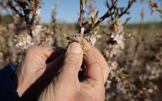 «Hemos tenido que salir todas las noches dos personas con la máquina»
