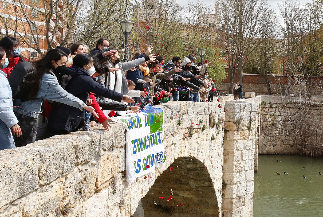 Palencia vuelve a celebrar el Día Internacional del Pueblo Gitano