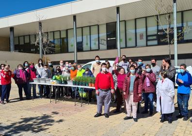 Imagen secundaria 1 - El proyecto &#039;Alcorques savios&#039; de Salamanca favorece la biodiversidad en los barrios y la participación ciudadana