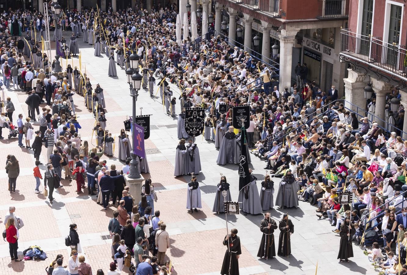 La procesión de La Borriquilla a su paso por las calles de Valladolid. 