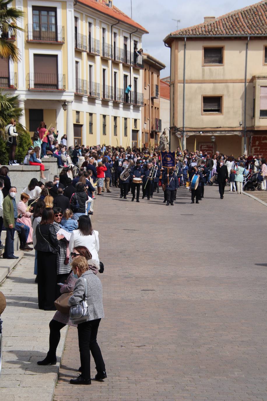 Fotos: Procesión de Las Palmas en Medina de Rioseco (2/3)