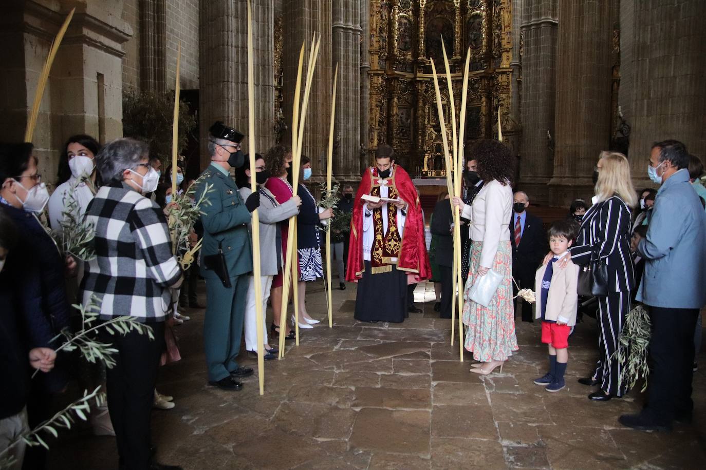 Fotos: Procesión de Las Palmas en Medina de Rioseco (3/3)