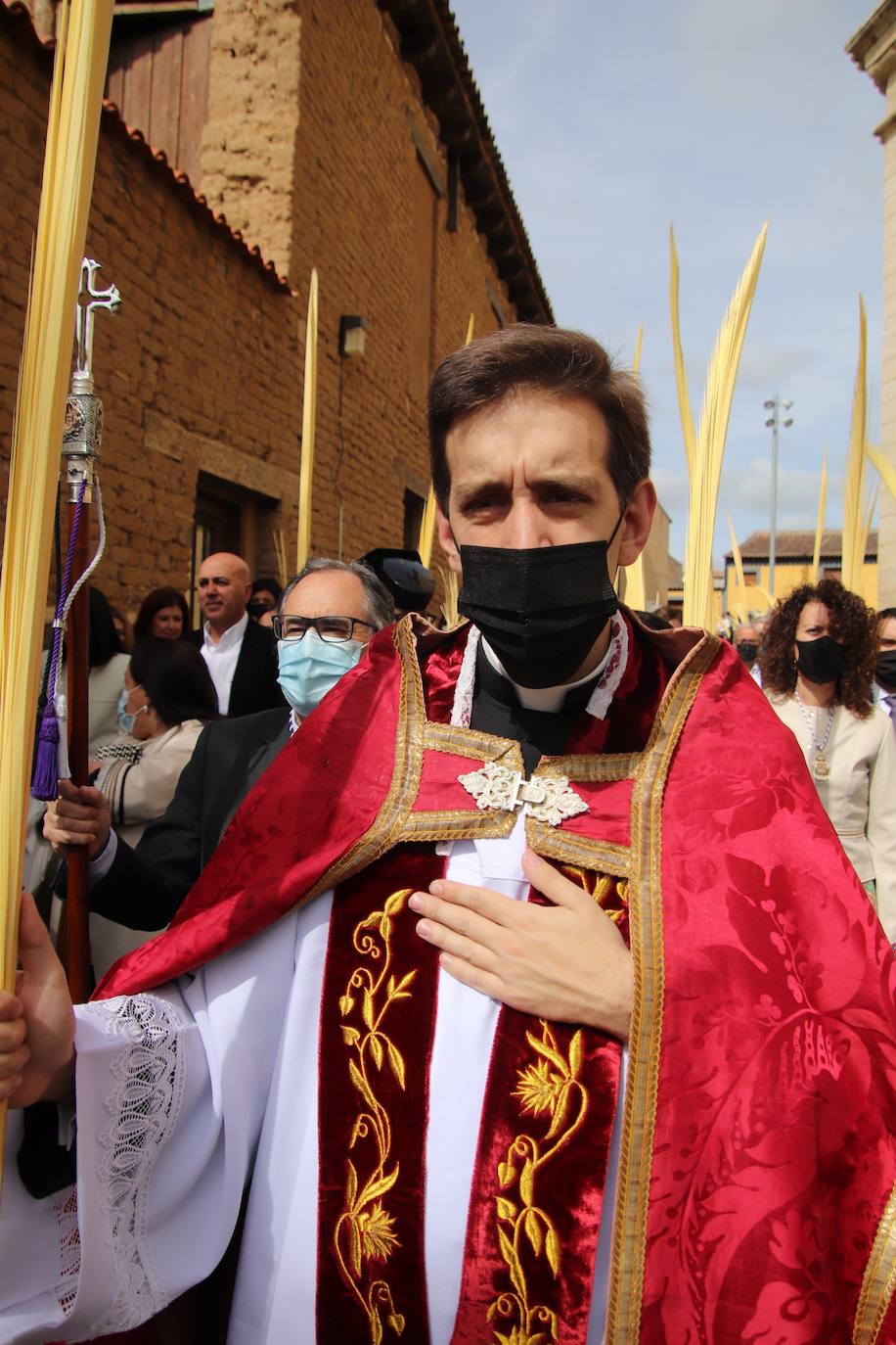 Fotos: Procesión de Las Palmas en Medina de Rioseco (3/3)