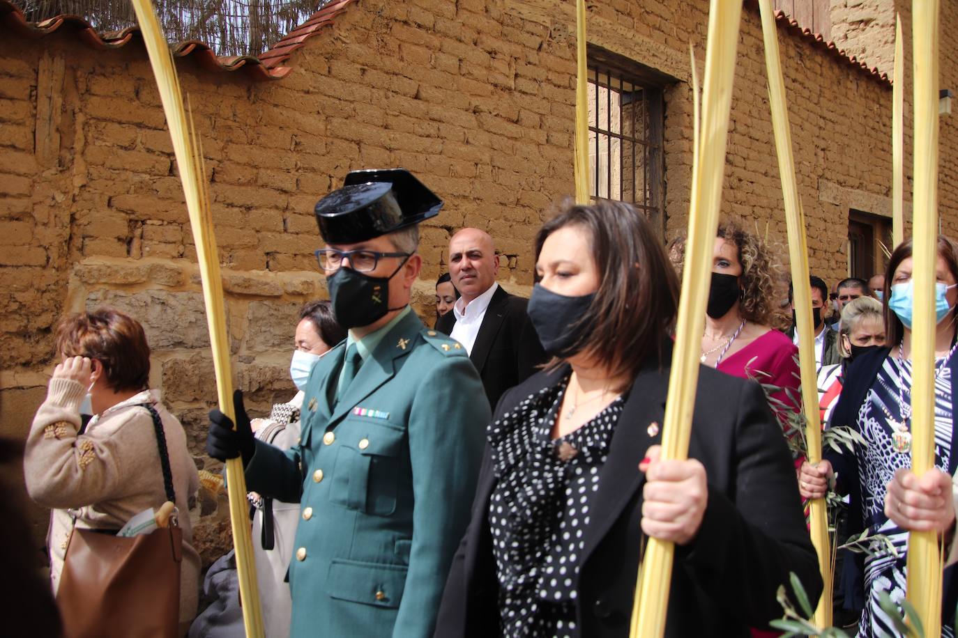 Fotos: Procesión de Las Palmas en Medina de Rioseco (3/3)