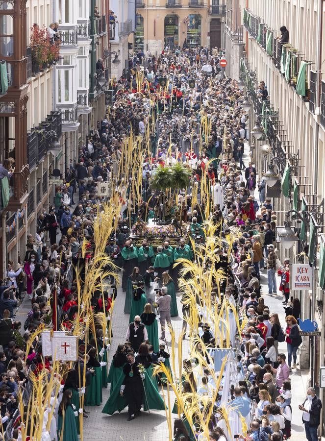 La procesión de La Borriquilla a su paso por las calles de Valladolid. 