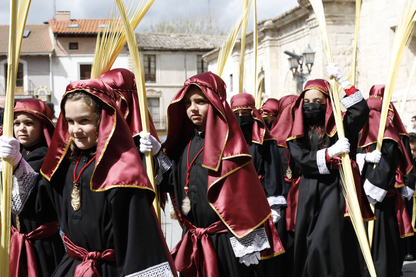 Fotos: Procesión de La Borriquilla en Peñafiel (1/2)