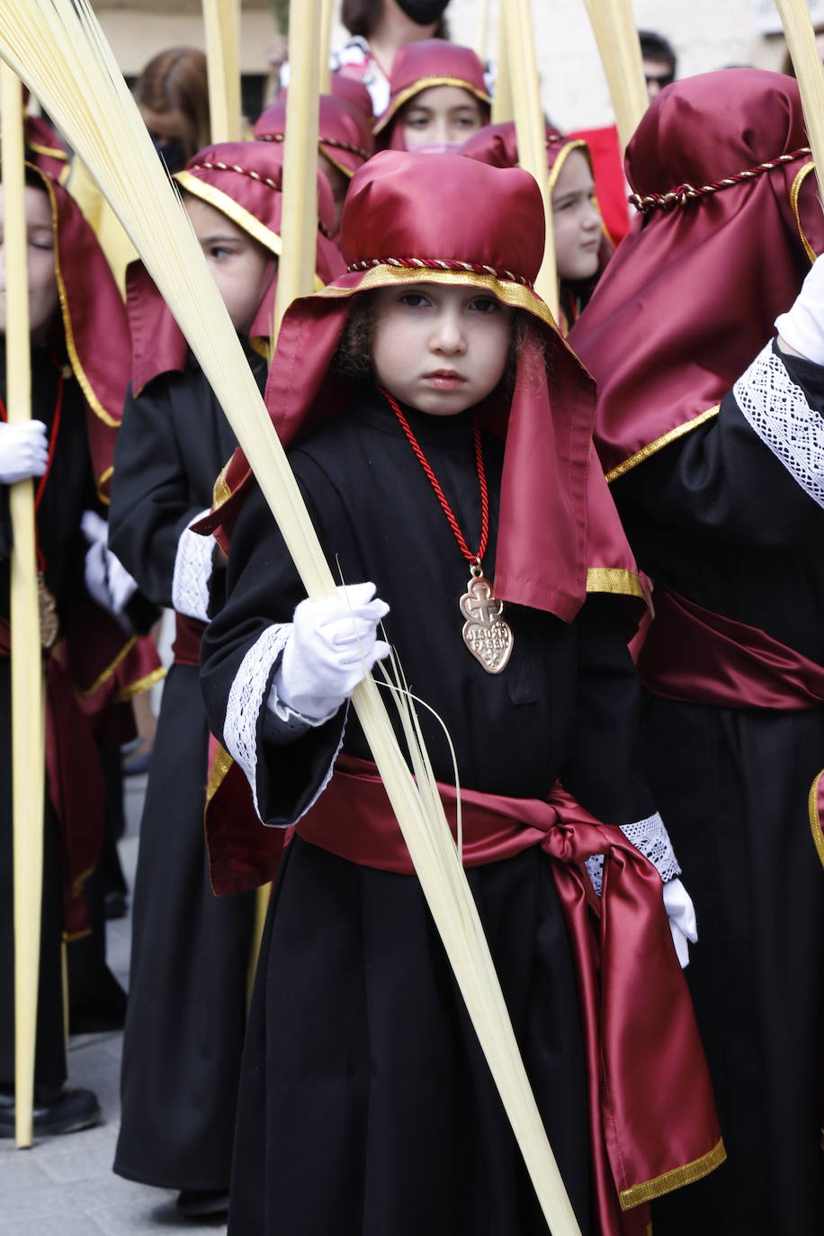 Fotos: Procesión de La Borriquilla en Peñafiel (2/2)