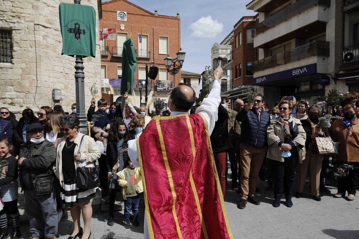 Fotos: Procesión de La Borriquilla en Peñafiel (2/2)