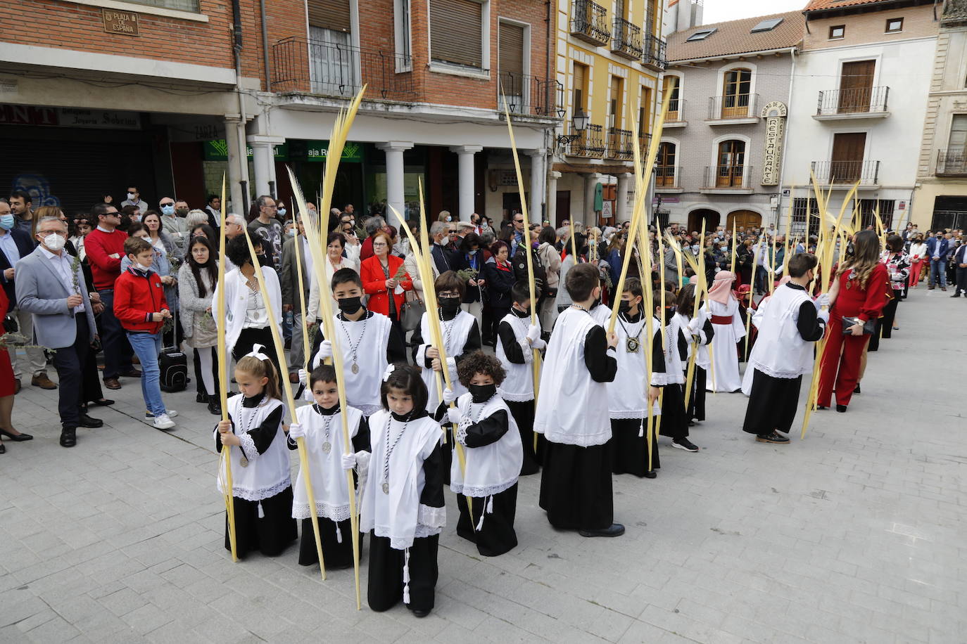 Fotos: Procesión de La Borriquilla en Peñafiel (2/2)