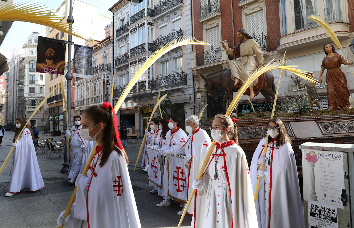 Fotos: Procesión de la Borriquilla en Palencia