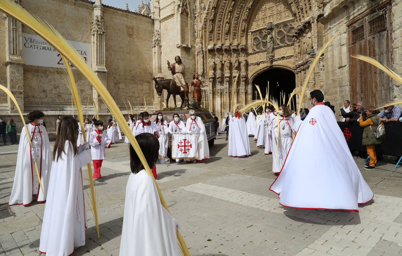 Fotos: Procesión de la Borriquilla en Palencia