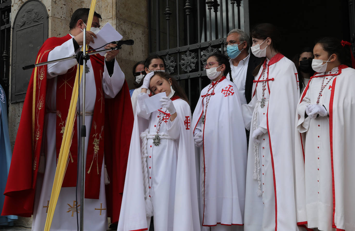 Fotos: Procesión de la Borriquilla en Palencia