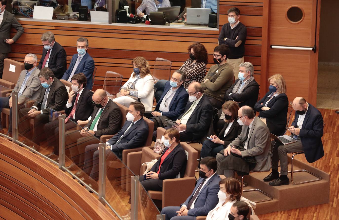 Fotos: Invitados al pleno de investidura de Alfonso Fernández Mañueco en las Cortes de Castilla y León