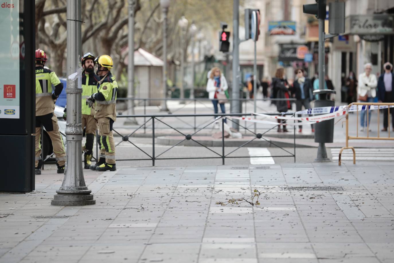 Fotos: Caída de cascotes en el Paseo de Zorrilla de Valladolid