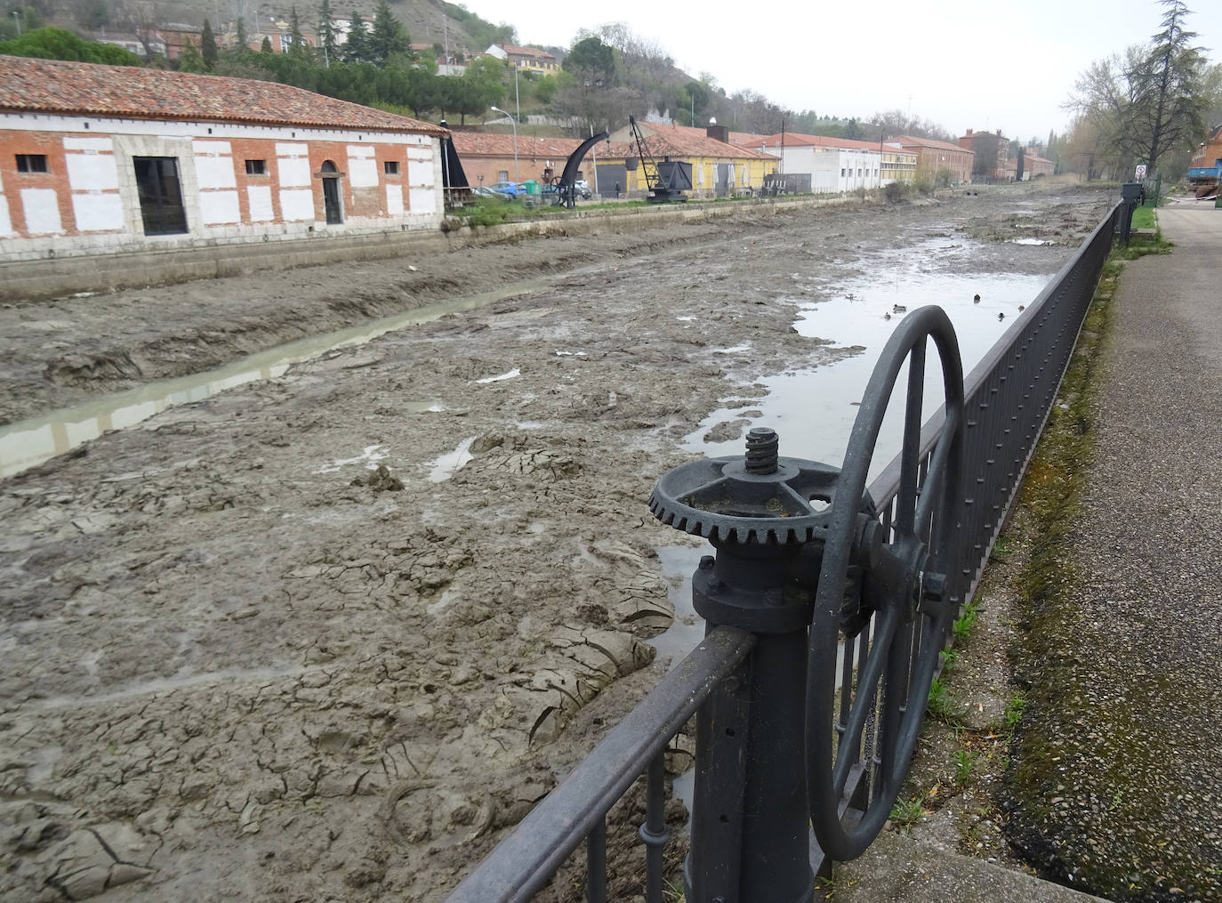 Fotos: Limpieza en la dársena del Canal de Castilla a su paso por Valladolid