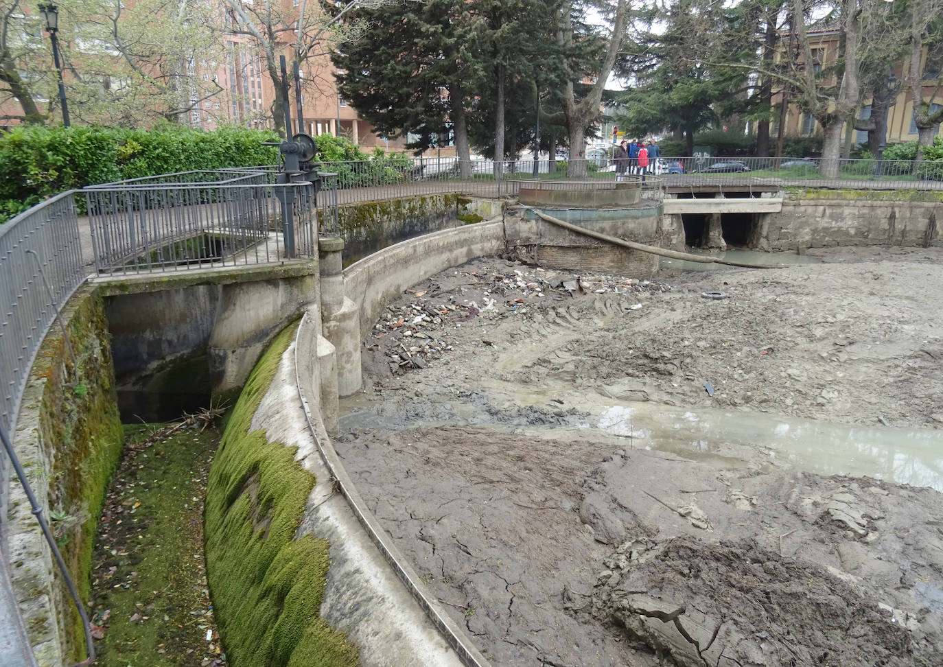 Fotos: Limpieza en la dársena del Canal de Castilla a su paso por Valladolid