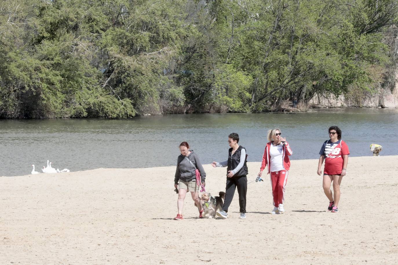 El buen tiempo preside el Domingo de Resurrección en Valladolid.