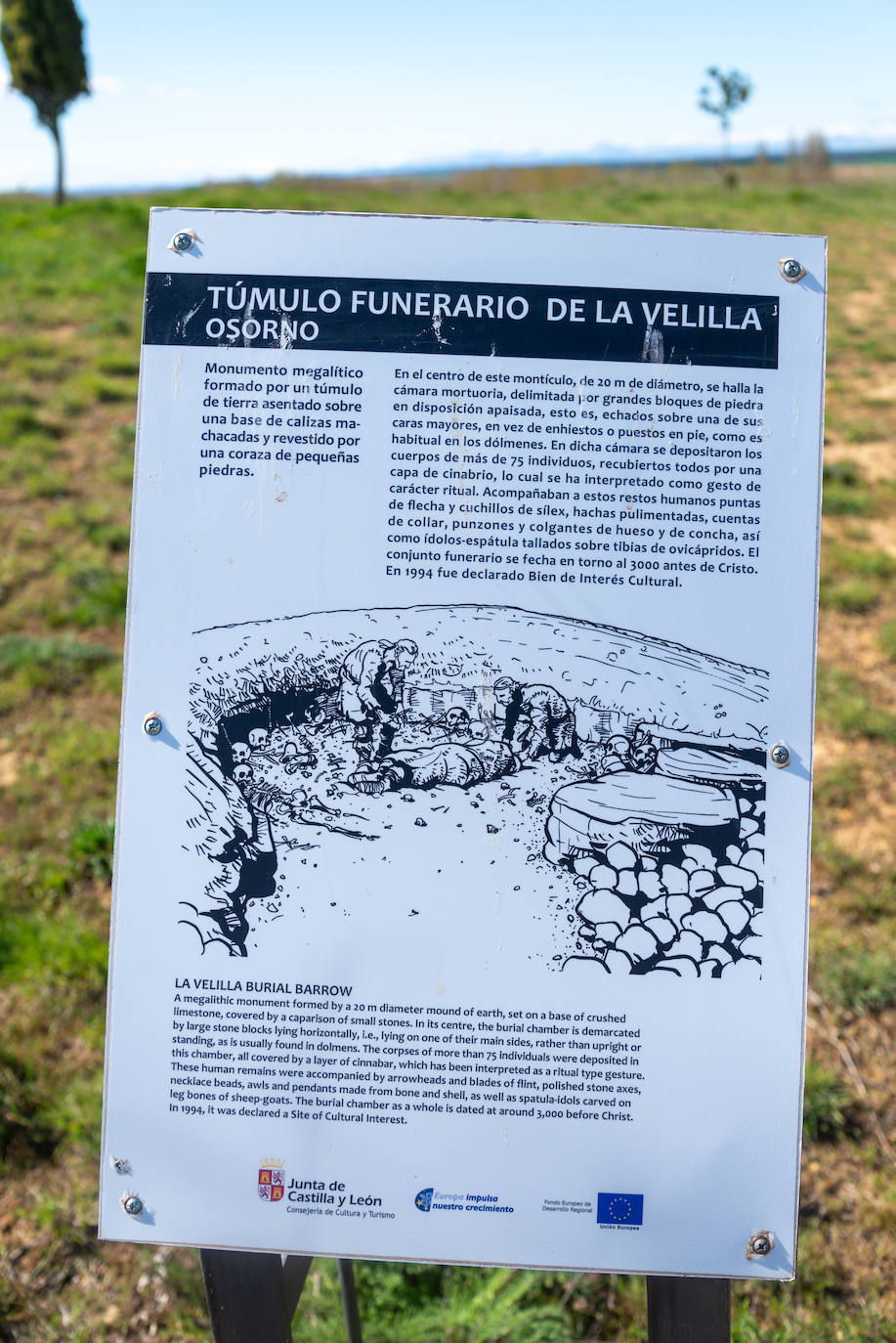 Fotos: Osorno muestra la huella de Dessobriga