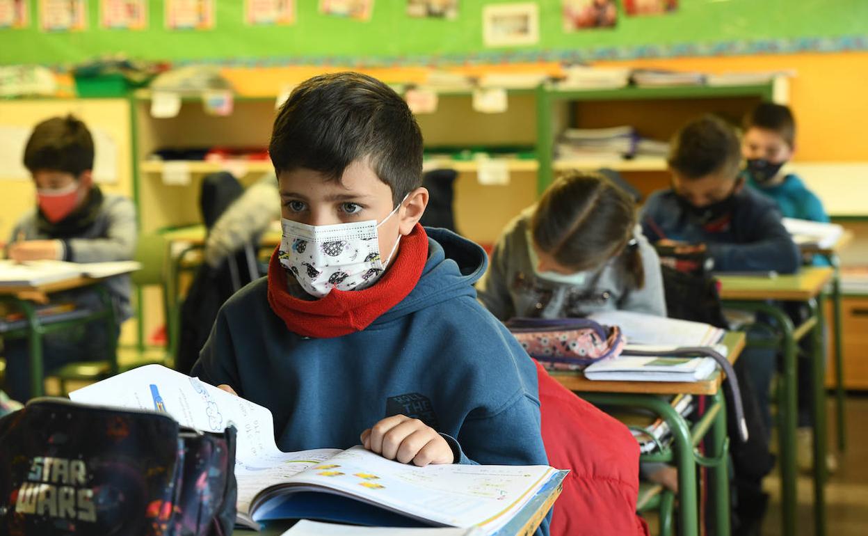 Alumnos del CEIP Parque Alameda de Valladolid, esta mañana. 