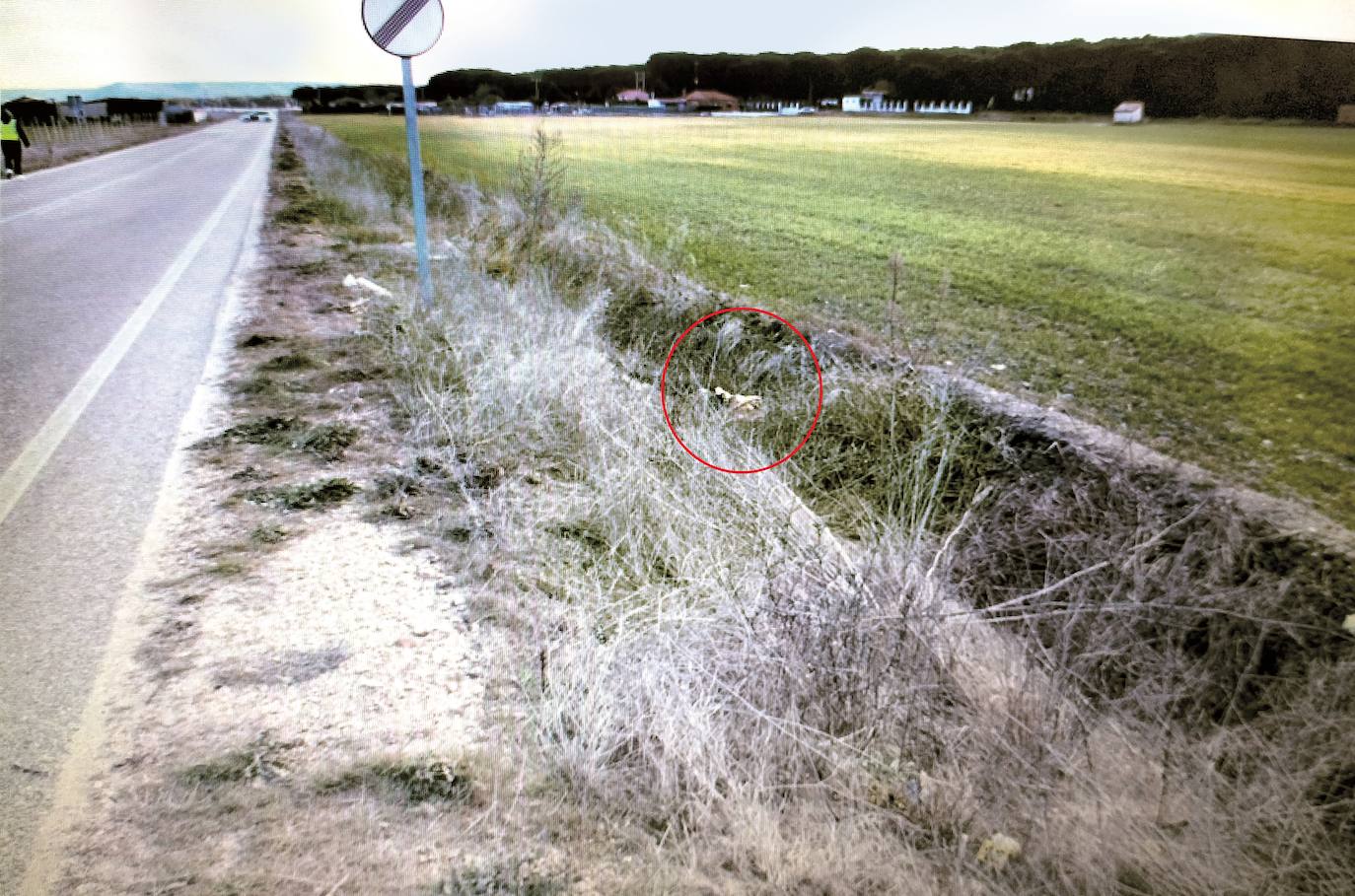 Las imágenes del hallazgo del cadáver de Esther López (como esta que incluye el sumario al que ha tenido acceso El Norte de Castilla) reflejan que el cuerpo estaba «alineado con el talud de la carretera» y que «las extremidades, alineadas con respecto al tronco, no son una posición habitual (tras un atropello)». Esto explicaría el tiempo que tardó en ser localizado, aunque lo cierto es que no se buscó en esa zona. La foto fue realizada pocos minutos después de ser localizado el cuerpo de la víctima, señalado con un círculo.