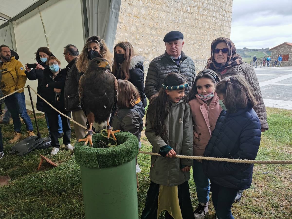 Fotos: Mercado comunero de Torrelobatón