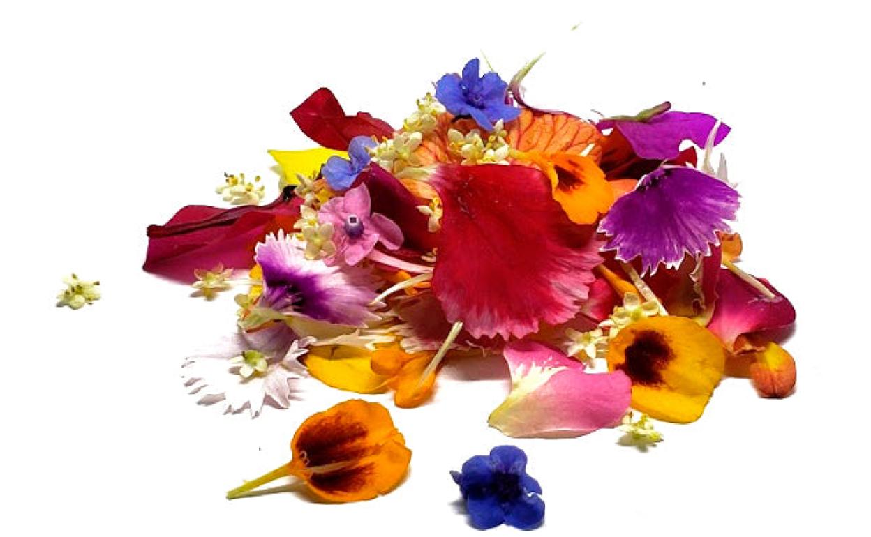 Pétalos: decorativos que además aportan micronutrientes