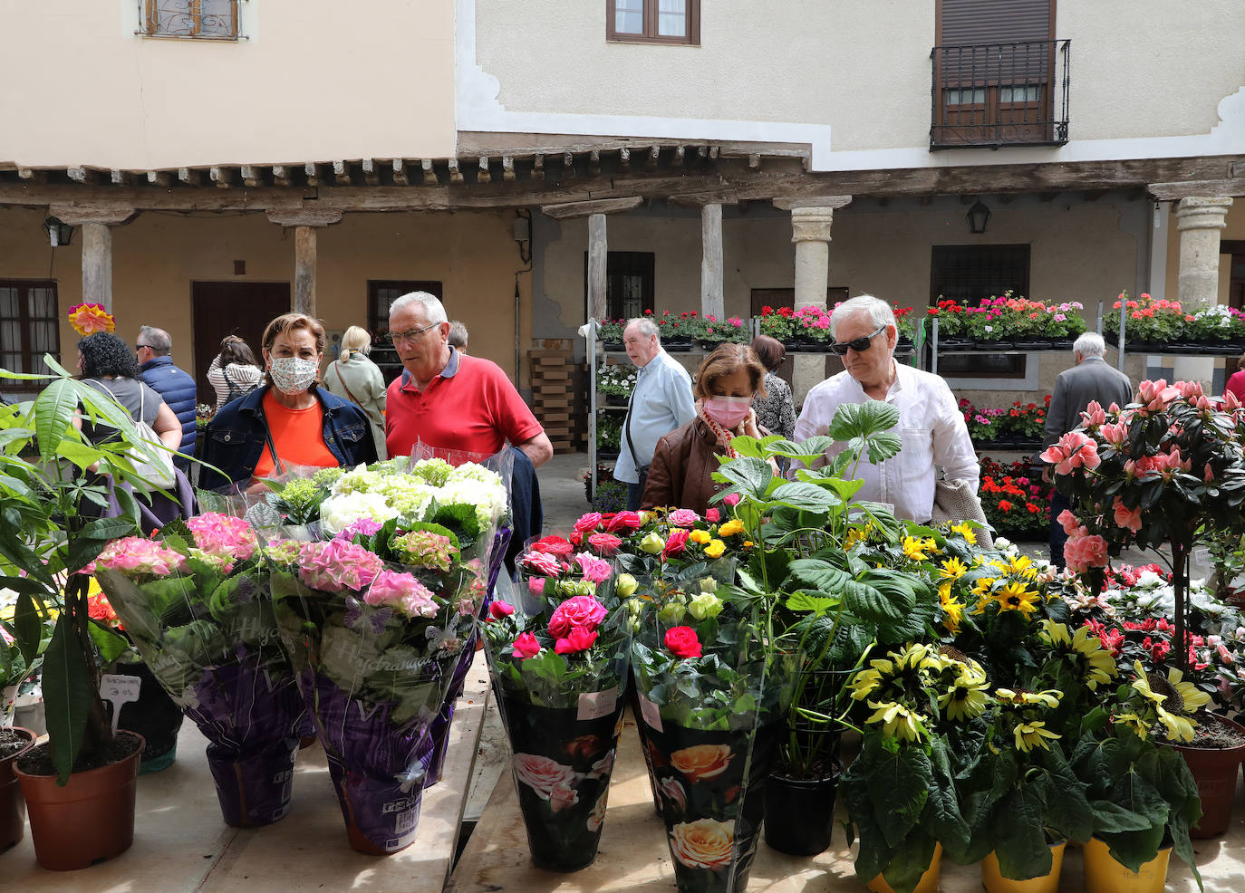 Fotos: Mercado de la Flor de Ampudia