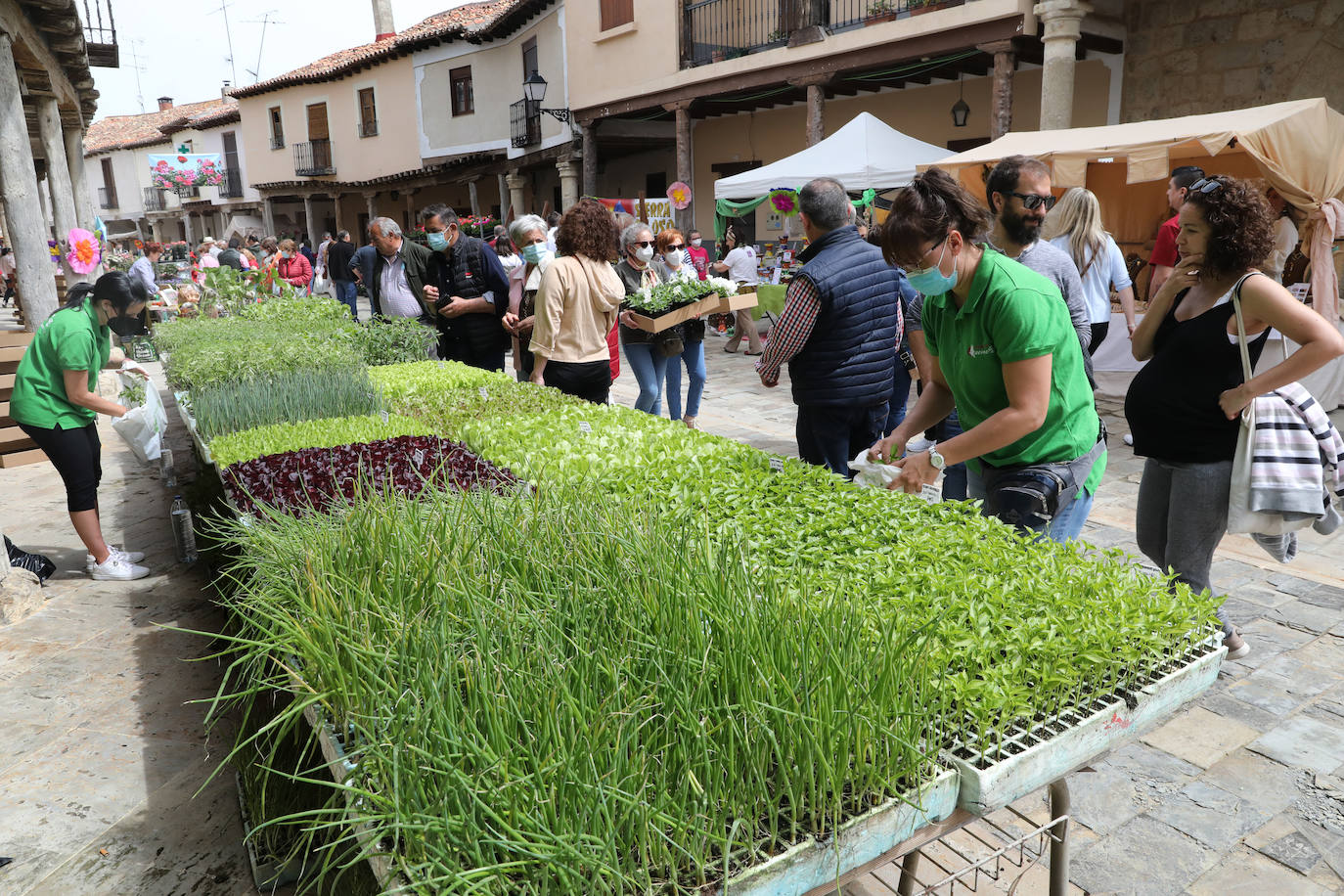 Fotos: Mercado de la Flor de Ampudia