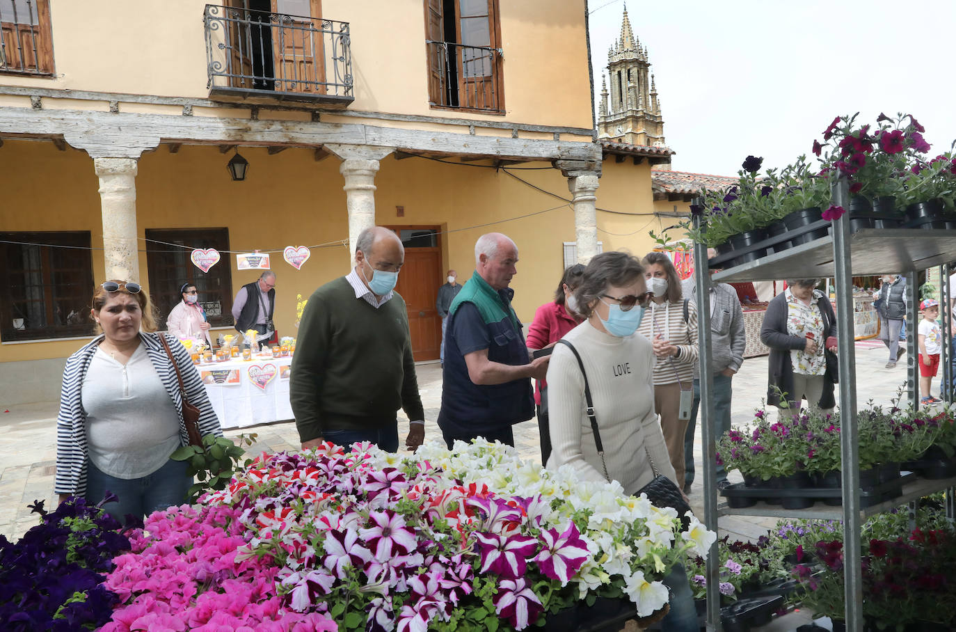 Fotos: Mercado de la Flor de Ampudia