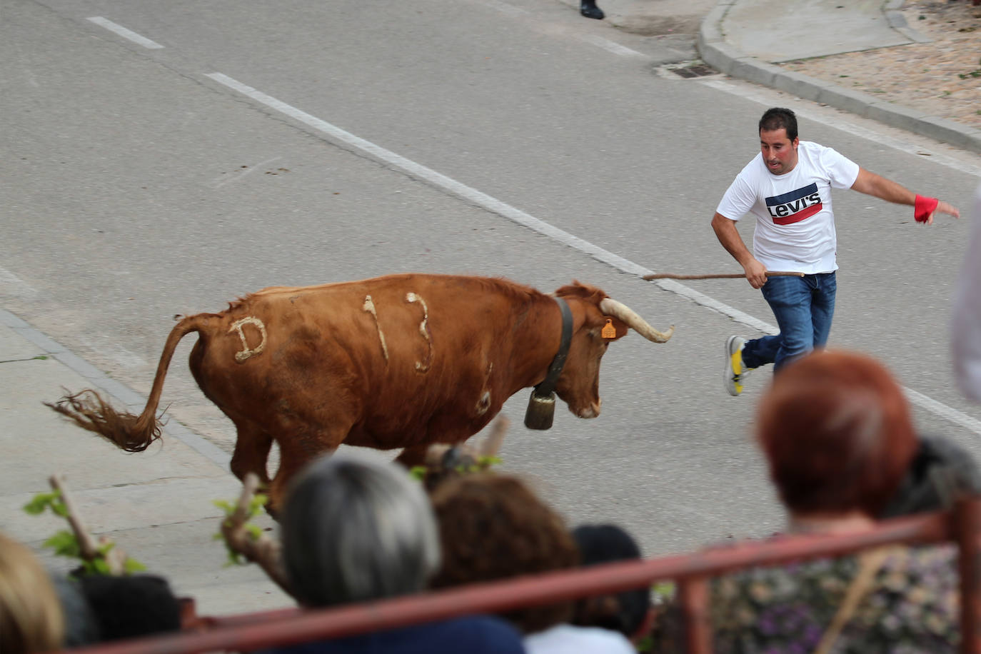 El municipio vallisoletano ha vivido una jornada festiva con toros y vino.