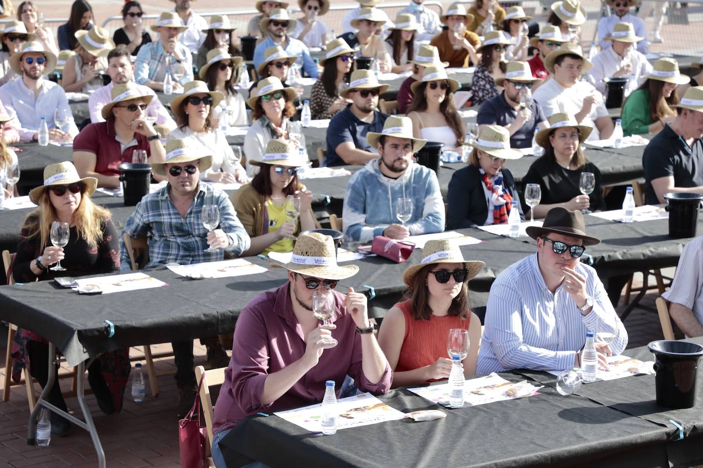 Tercera jornada de Plaza Mayor del Vino. 