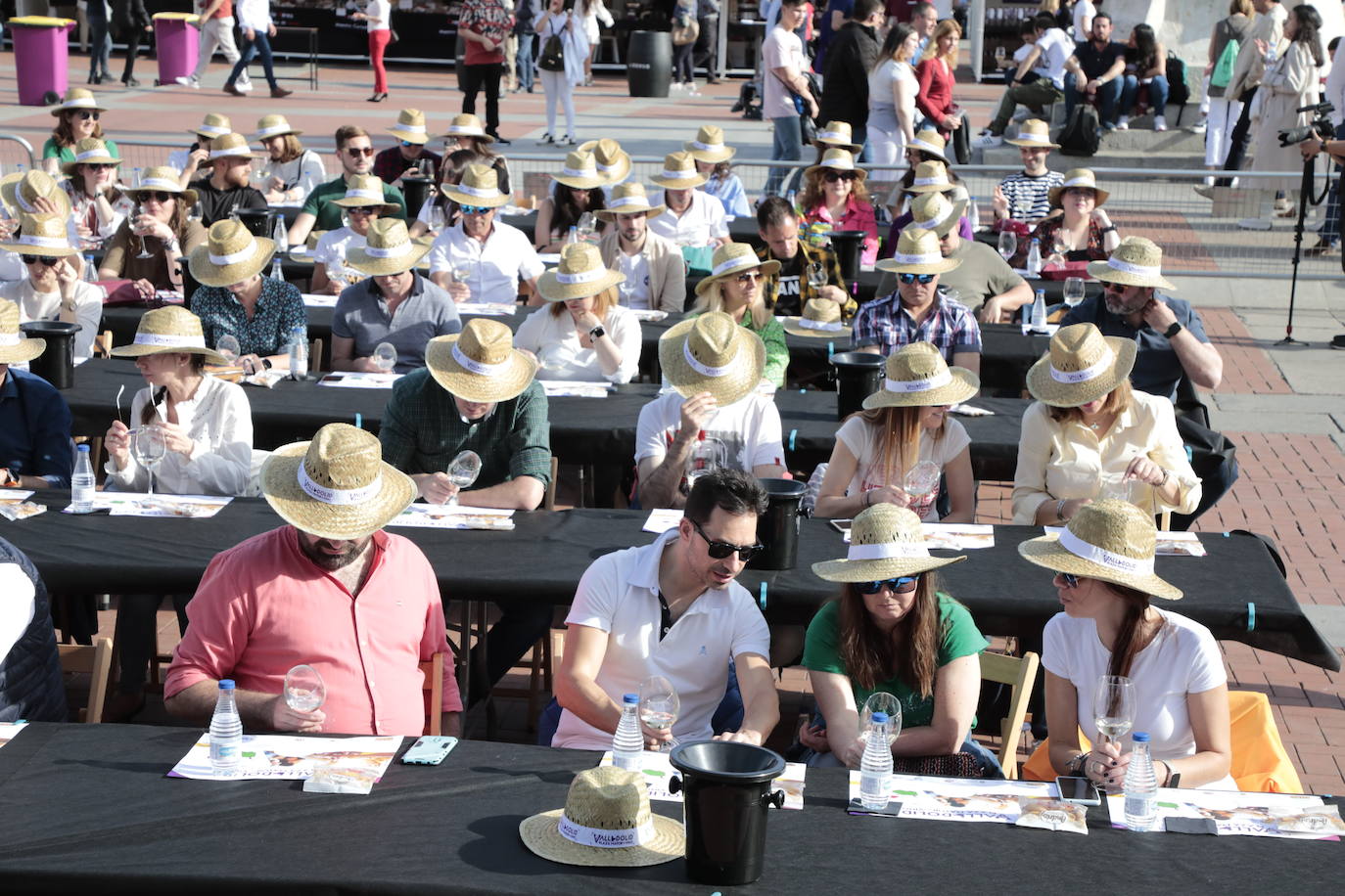 Tercera jornada de Plaza Mayor del Vino. 